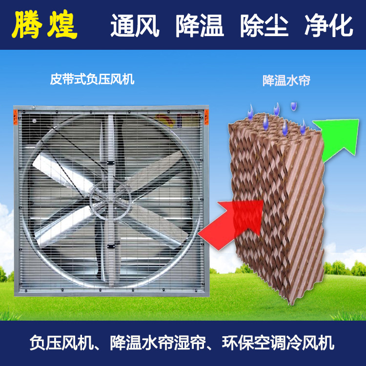 降温通风方法办法韶关畜牧养殖猪场  蒸发式冷风机