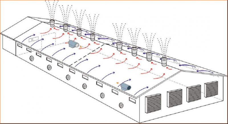 换气降温解决方案河源畜牧养殖猪场