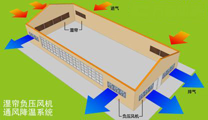 通风散热解决方案河源畜牧养殖猪场